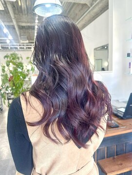 ホリー(HOLLY) 深めボルドー