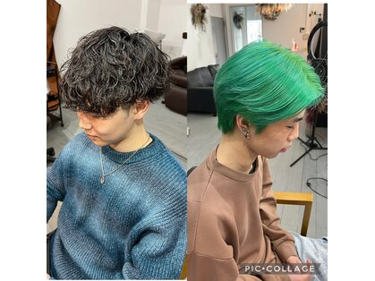 ネオ(Neo)の写真