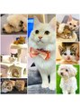 アグヘアー 茂原店(Agu hair)&nbsp;大好きなうちの子達♪ペットに癒されます^_^