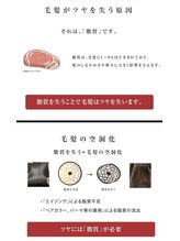 当店一押しリンゴ幹細胞トリートメント
