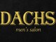 ダックス(DACHS)の写真