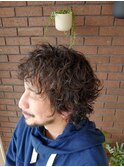 メンズミディアムパーマ波巻きショートマッシュ