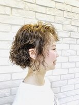 プリーク(preak) リッジエアウェーブ