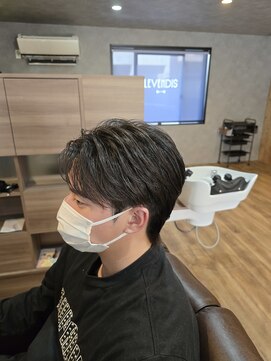 レベンディス(LEVENDIS) センターパート