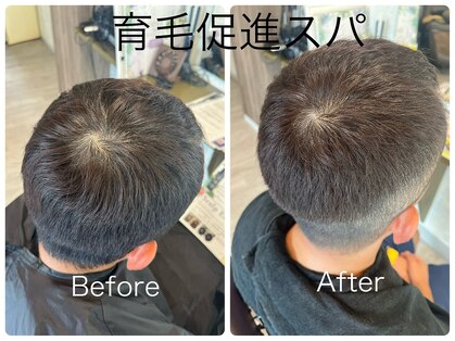 イデアル(ide'al)の写真