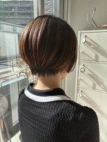 セカンドホーム 武蔵小杉(Second Home)&nbsp;扱いやすいショート