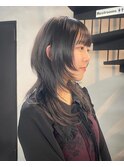 ロングウルフ/ウルフレイヤー/ハッシュカット