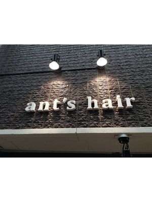 アンツヘアー(ants hair)