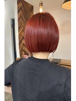 レジーロ (Regilo) minibob × red color 