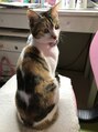 オルファ 我孫子店(OLFA)&nbsp;中島家の可愛いちゃちゃ。すぐに人の席を奪っちゃう！