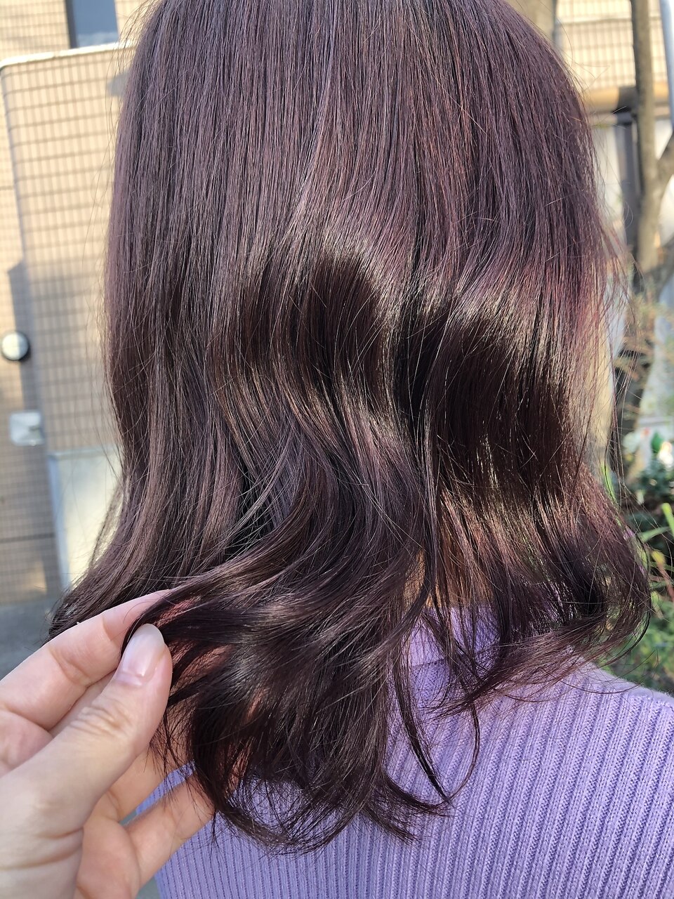 ピンクパープルグレージュ：L099257641｜カラーラバー 鹿児島店(color