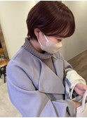 ピンクラベンダー
