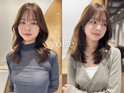 ヨーク(yoke)の写真