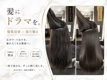 ニマルニーニー バイ ヤスオカ(2022 BY YASUOKA)の雰囲気(最先端の髪質改善【髪にドラマを】で今までにない美髪に◎)