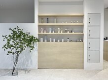 イロア(iroa)の雰囲気（木と緑とコンクリートを基調とした明るい店内）