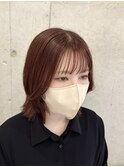 ボブレイヤー&レッドブラウン