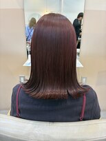 シダ(sida)&nbsp;ブリーチなしボルドーカラー