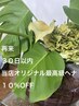 【ヘナカラー定期メンテ】30日以内の御来店で10％オフ