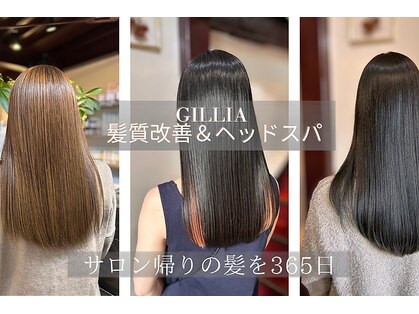 ギリア(Gillia)の写真