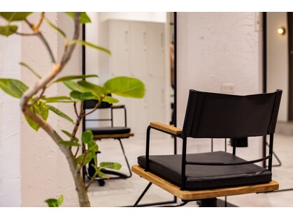 ハロン(HALON:)の写真