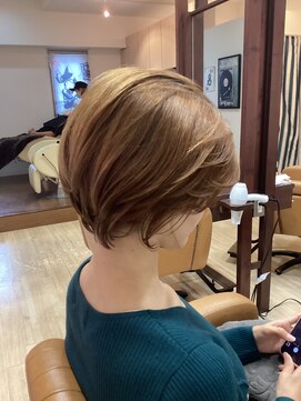 ファナー 馬橋(phaena) 大人カラー