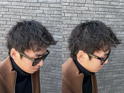 レンジヘアー(lange hair)の写真