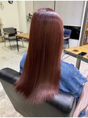 艶髪ストレートカット/カラー/ダークチェリー