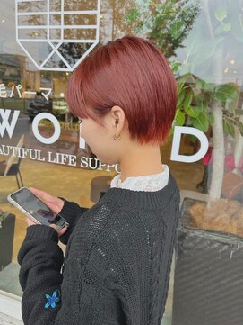 ビーワールド(B WORLD) 似合わせショート小顔カットショートボブマッシュショートカシス