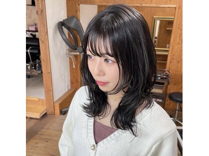 モーニングスター リリィ(morning star lily)の写真