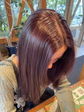 リアン(Lien) 艶重視の深めカシスカラー☆色落ちも楽しめてカワイイが長持ち♪