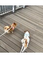 【完全個室サロン】Eleanor spa&treatment 熊谷【3月1日 OPEN（予定）】&nbsp;愛犬２匹飼ってます