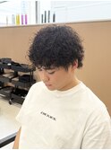 プードルパーマ！