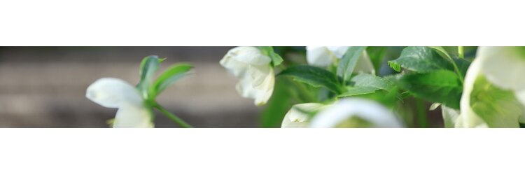 リーファ(reefur)のサロンヘッダー