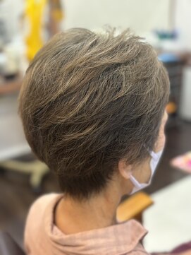 リベーヌプラス 40代50代60代 白髪染めショートレイヤー2A【リベーヌ+野入】