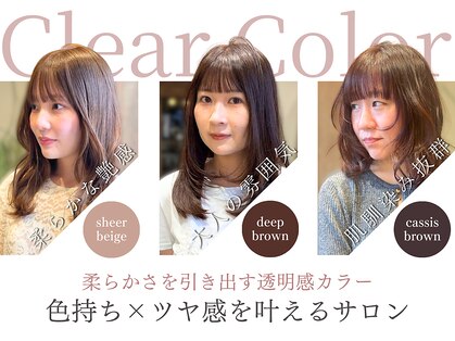 ディル(Dille)の写真