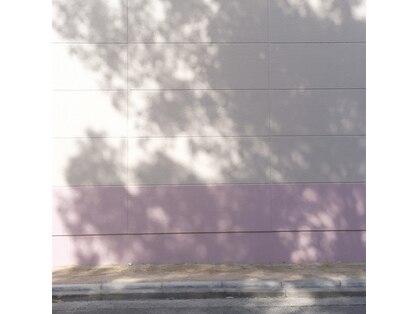 キーノ(kino)の写真