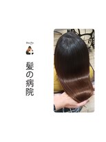 ブルーフィン シセロ(Blue Fin cicero) 艶カラー/ブラウン/トリートメント/髪質改善/ツヤ髪セミ/20代