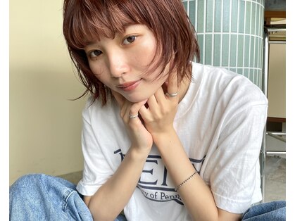 ニト(nito)の写真