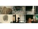 スコレー(schole.)の写真