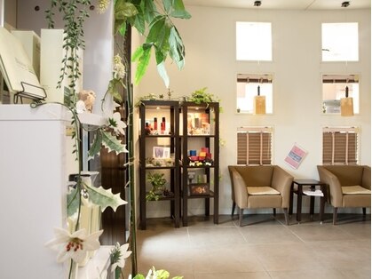 スタイルクリエイター 牛久店(Style Creator)の写真