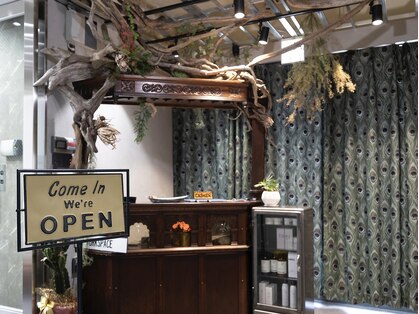 レイブンズ(Ravens)の写真