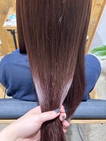 アクト(ACT)&nbsp;ワインレッド/レッドブラウン/ブリーチなし