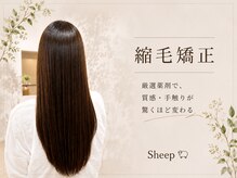 シープ(Sheep)