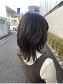 ＊ネオウルフカット！セミロングレイヤーカットナチュラルウルフ