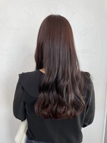 テトラ(TETORA)&nbsp;デジストカール