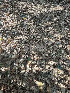 スミ(SUMI) 【SUMI神戸元町】髪質改善サロン似合わせカット