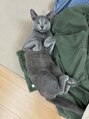 キュア 津田沼店(cure) うちの子可愛すぎ親バカです