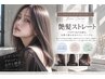 【ベーシック】艶髪ストレート/11000～