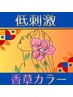 低刺激 香草カラー リタッチ(根元3cm以内) シャンプーブロー込み¥4500