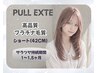 高品質プルエクステプラチナショート80本～19260円